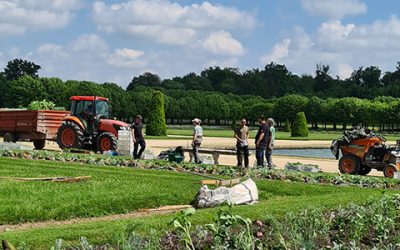 Partenariat avec le Château de Fontainebleau : patrimoine et insertion professionnelle