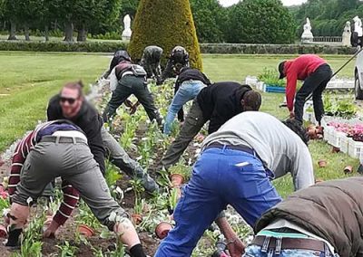Plantation